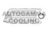 AUTOGAMMA 105379 Intercooler, charger